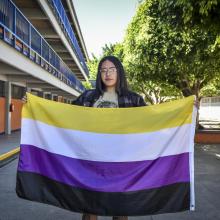 Chica sosteniendo una bandera 